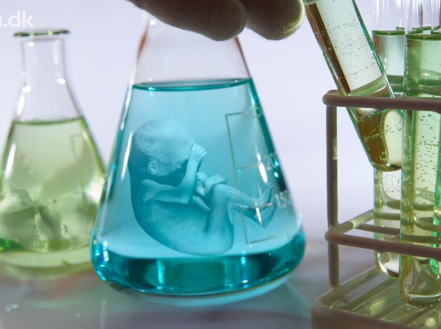 Reagensglas med foster 